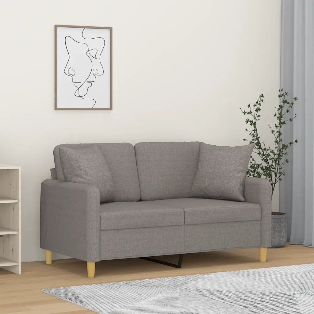 Divano a 2 Posti con Cuscini-Sofa 2 Posti con Cuscini Tortora 120 cm in Tessuto 696090