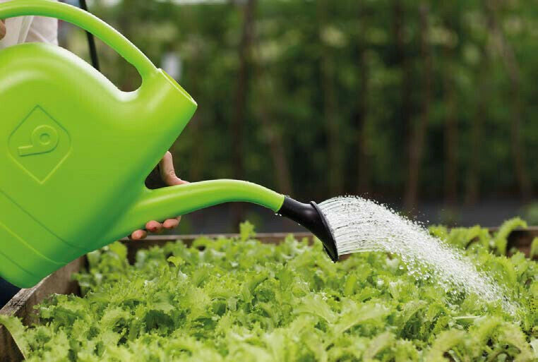 Annaffiatoio Innaffiatoio in Plastica Piante Giardino con Rosetta Doccetta 9 Lt