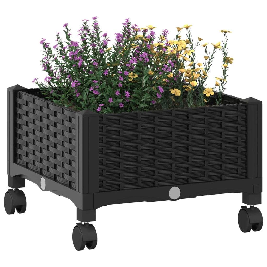 Vaso da Giardino con Ruote Nero 40 x 40 x 29 cm PP 3422905