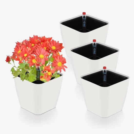 Pannelli per piante autosigillanti con indicatore del livello d'acqua in design elegante per uso domestico e ufficio