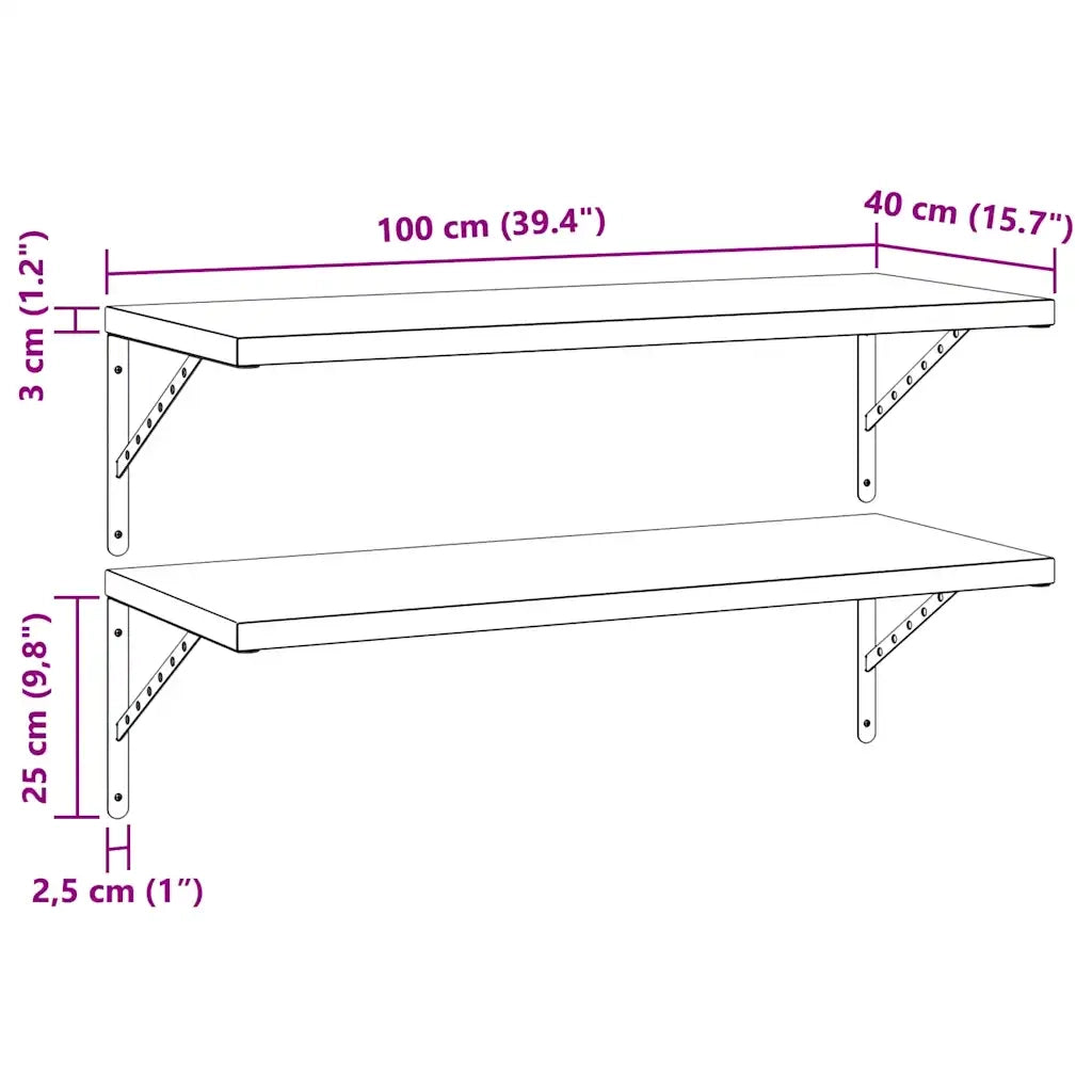 Mensole a Muro 2 pz 100x40 cm Nero in Acciaio Inossidabile 3214511