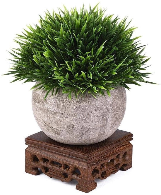 Vaso per Piante in Legno - Decorazione per la Stanza da Pranzo - Accessorio per la Casa di Ufficio - Sviluppato Professionalmente - Vaso Decorativo