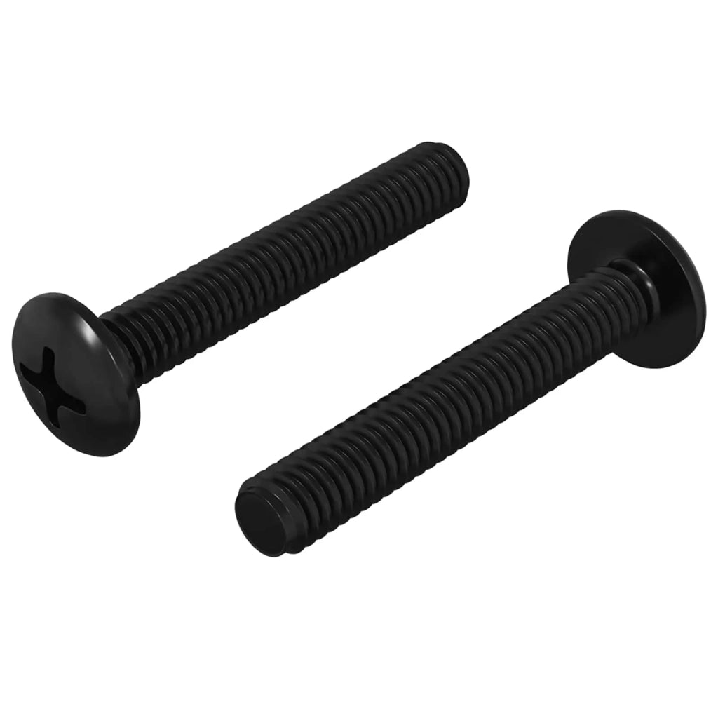 Vite 2 pz Argento 5 x 30 mm Ferro CFW3026970