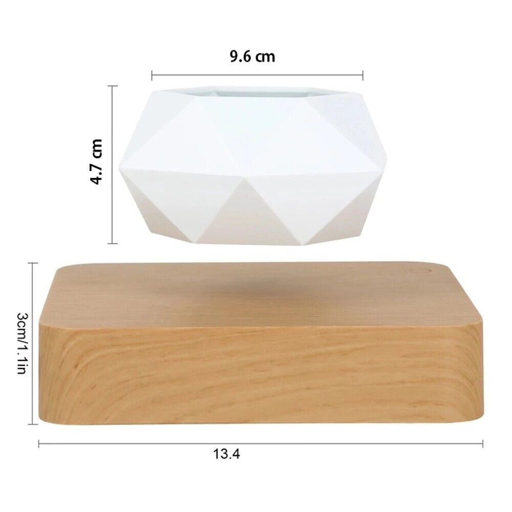 Vaso per piante bonsai a levitazione magnetica che vola piantina sospesa in aria