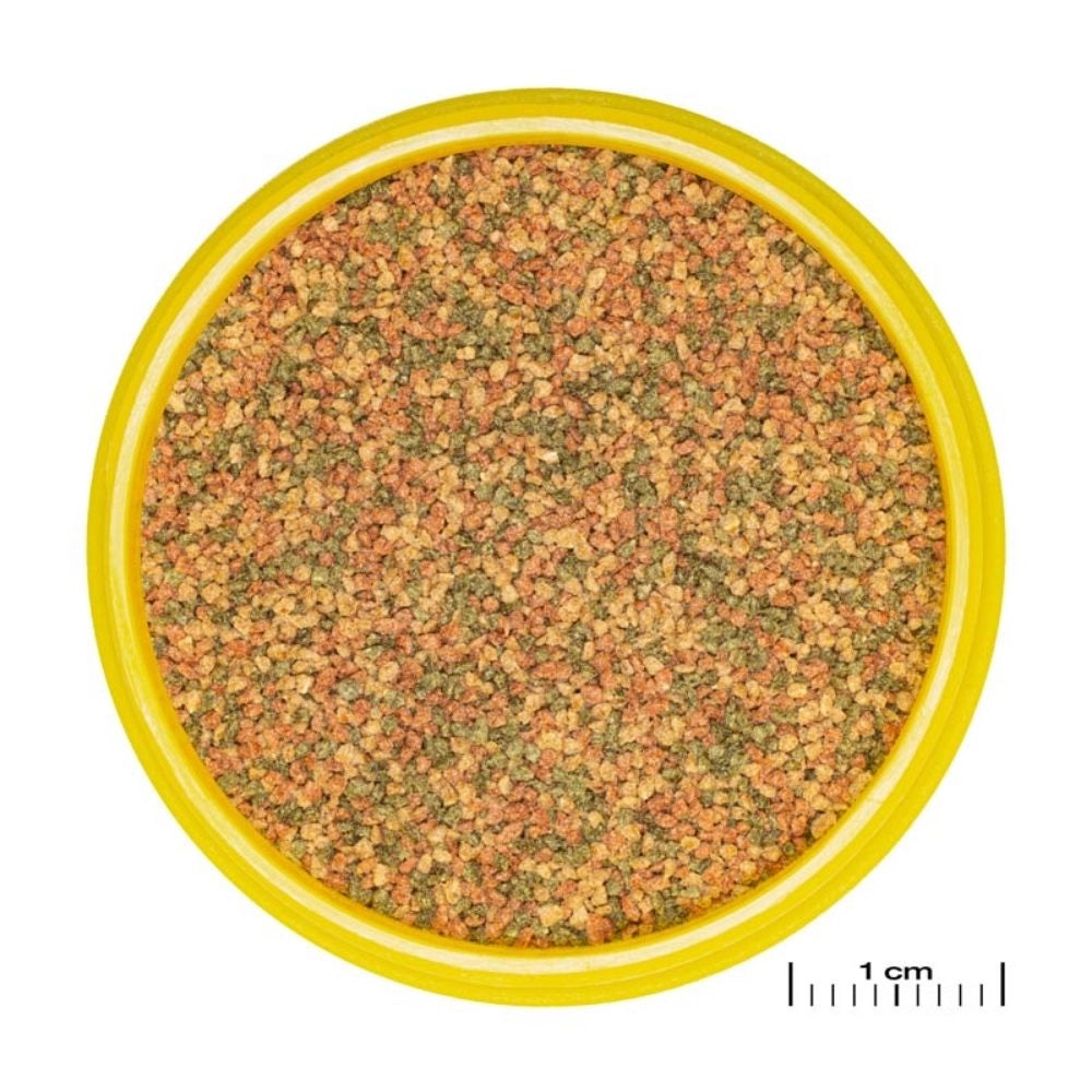 JBL ProNovo Bel Grano XS 100ml - Mangime base in granuli per tutti i pesci ornamentali da 3 a 5cm