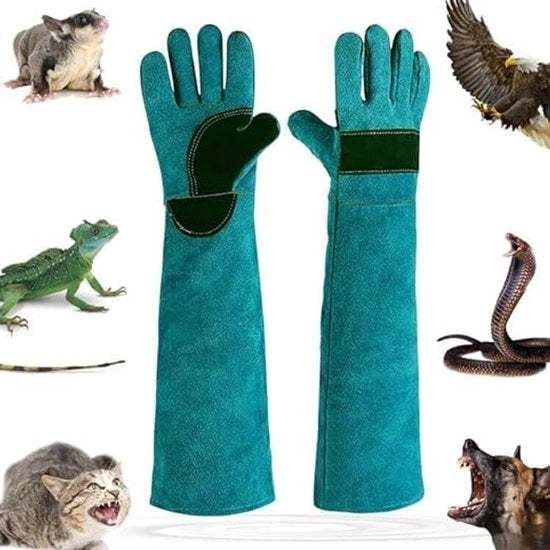 Manopole resistenti ai morsi per animali - Manopole multifunzionali resistenti ai morsi per cani, gatti, rettili