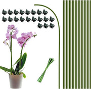 60 pezzi di sostegno per piante, aiuto alla scalata e clip per piante con clip per orchidee, staffa stabilizzante per giardino e casa, estensione per piante di rampicanti