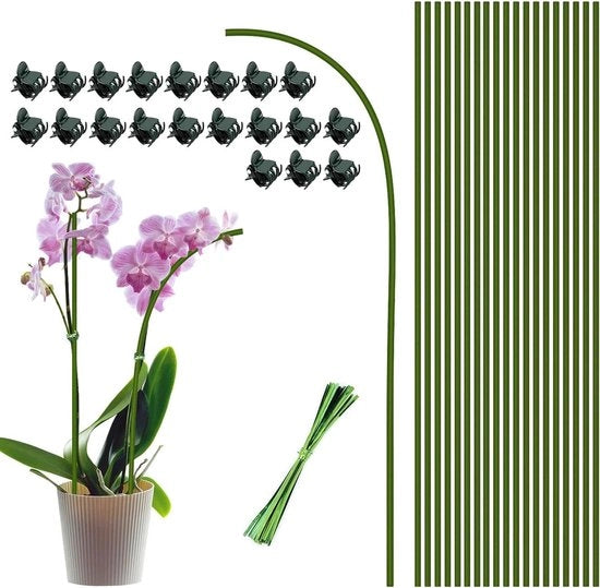 60 pezzi di sostegno per piante, aiuto alla scalata e clip per piante con clip per orchidee, staffa stabilizzante per giardino e casa, estensione per piante di rampicanti