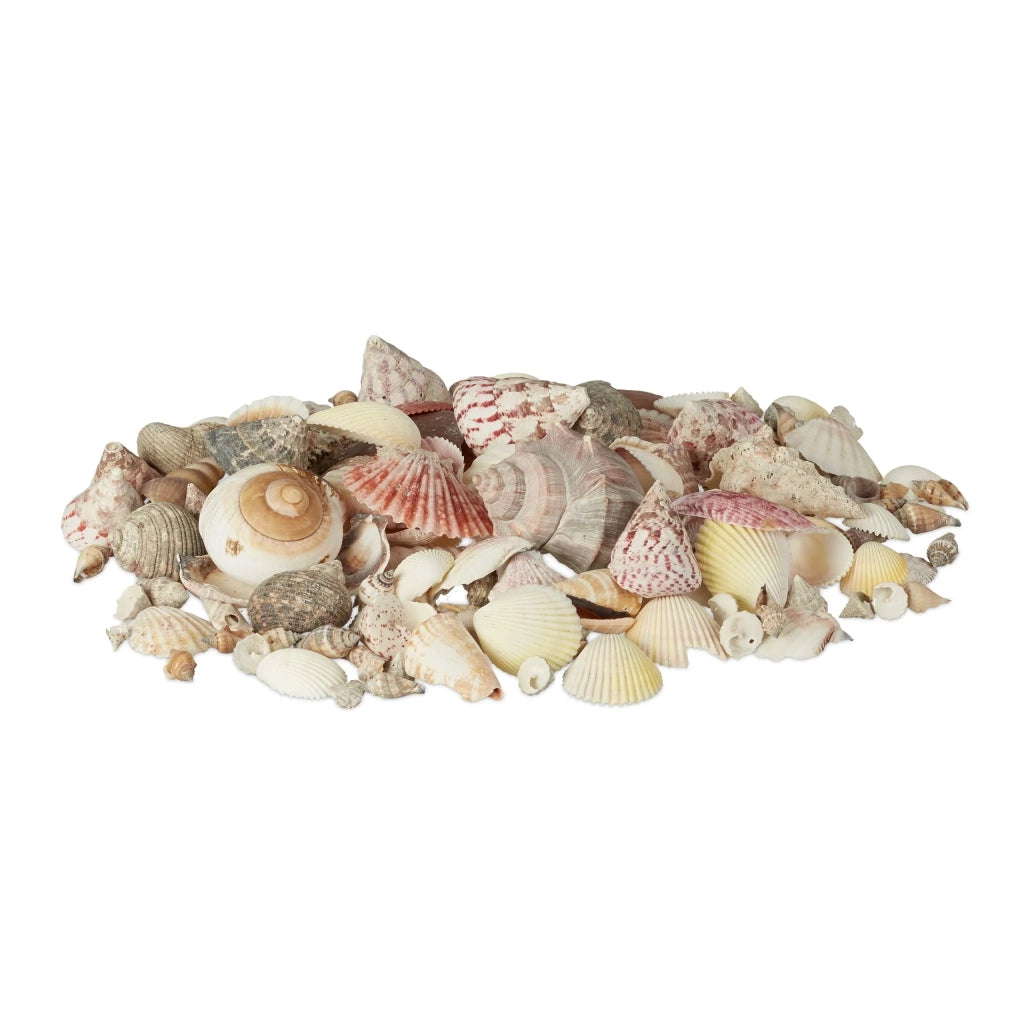Miscela di conchiglie decorative naturale bagno da 3 a 11 cm in plastica beige 13_0004473