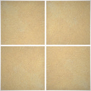 Rivestimento Decorativo Elegance Vellutato - Elegance SD05 - Litri 1