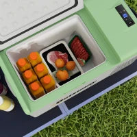 Frigorifero per Auto, Frigorifero Portatile 16L, -20°C a 10°C, ECO/MAX, 60x32x26cm, Verde e Grigio