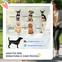 Passeggino per Cani Pieghevole con Guinzaglio di Sicurezza e Cestino Portaoggetti, Blu