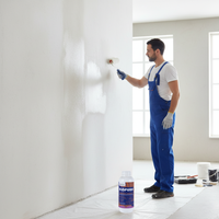 Fissativo acrilico isolante professionale per muri e intonaci – kit 2 pezzi biopura cromika