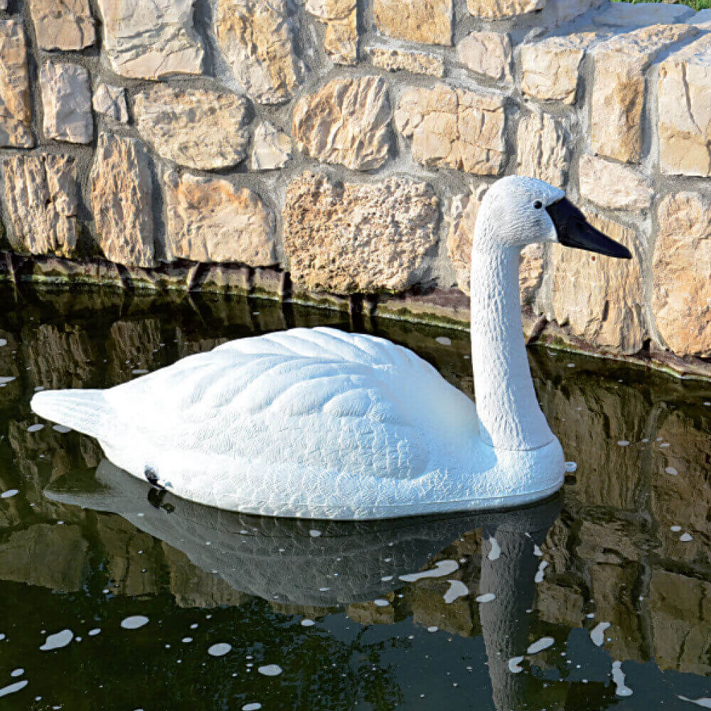 Rane Decorative Stagno Giardino Decorazione Per Laghetto - Rane E