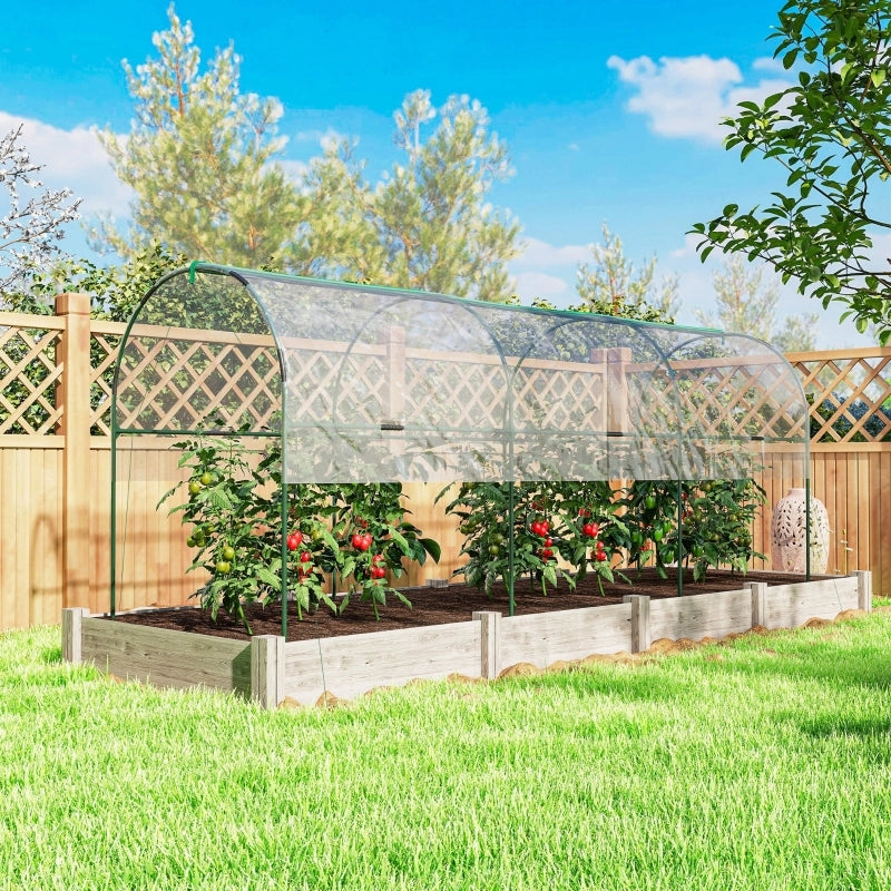 SERRA 400x123x171 cm Acciaio inox Trasparente
