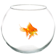 Trade Shop - Ampolla Boccia Per Pesci In Vetro 30 Cm Acquario Pesce Rosso Centrotavola -