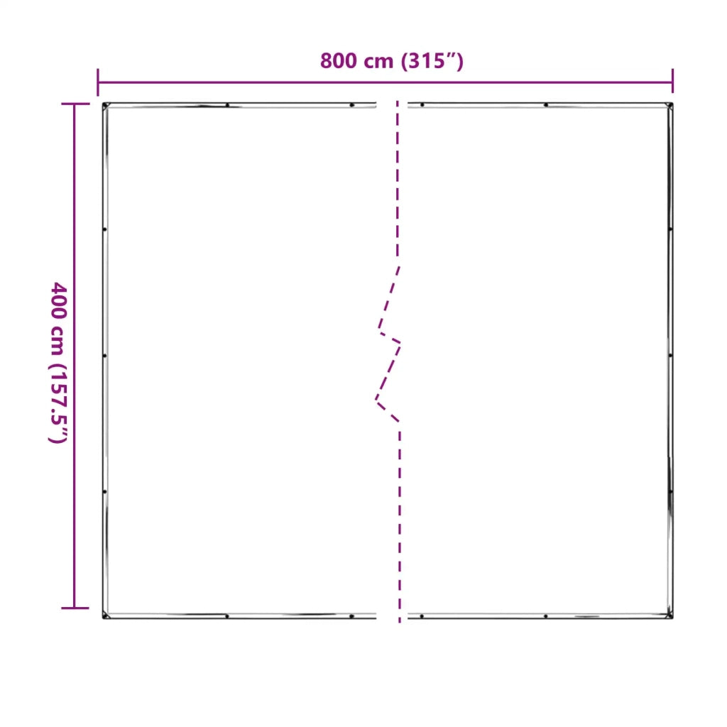 Copertura per Piante Trasparente 4 x 8 m PE CFW5779624