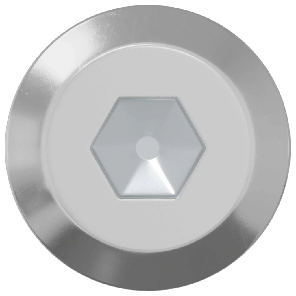 Vite 12 pz Argento M6 x 100 mm Acciaio CFW3074574