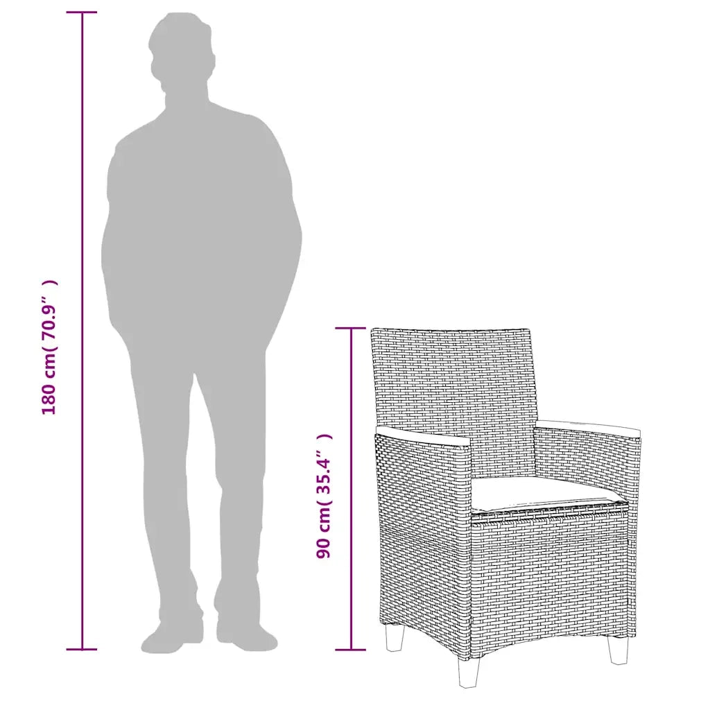 Sedie Giardino con Cuscini 2 pz | Sedie da Esterno Nere Polyrattan e Legno Massello