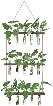 Set di vasi per fiori con vaschetta per la risposta, insieme di vasi piccoli con sostegno per piante, 3 x 5 stazione di propagazione, vetrino per innesti per piante di hydrocultura, accessori per piante da appartamento per terrarium.