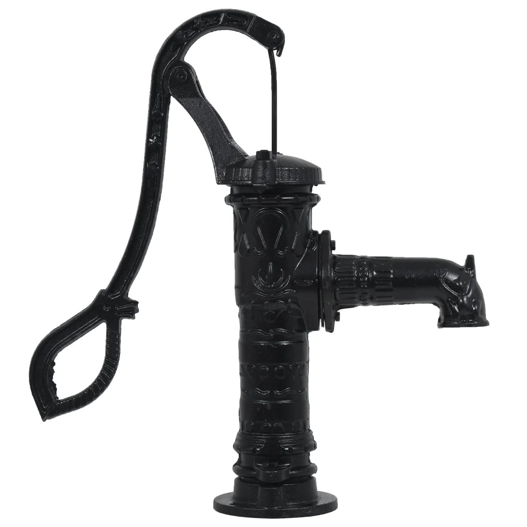 Pompa d'Acqua da Giardino con Supporto in Ghisa CFW1387445