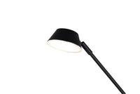 Piantana da Interno a LED in Metallo Nero Opaco