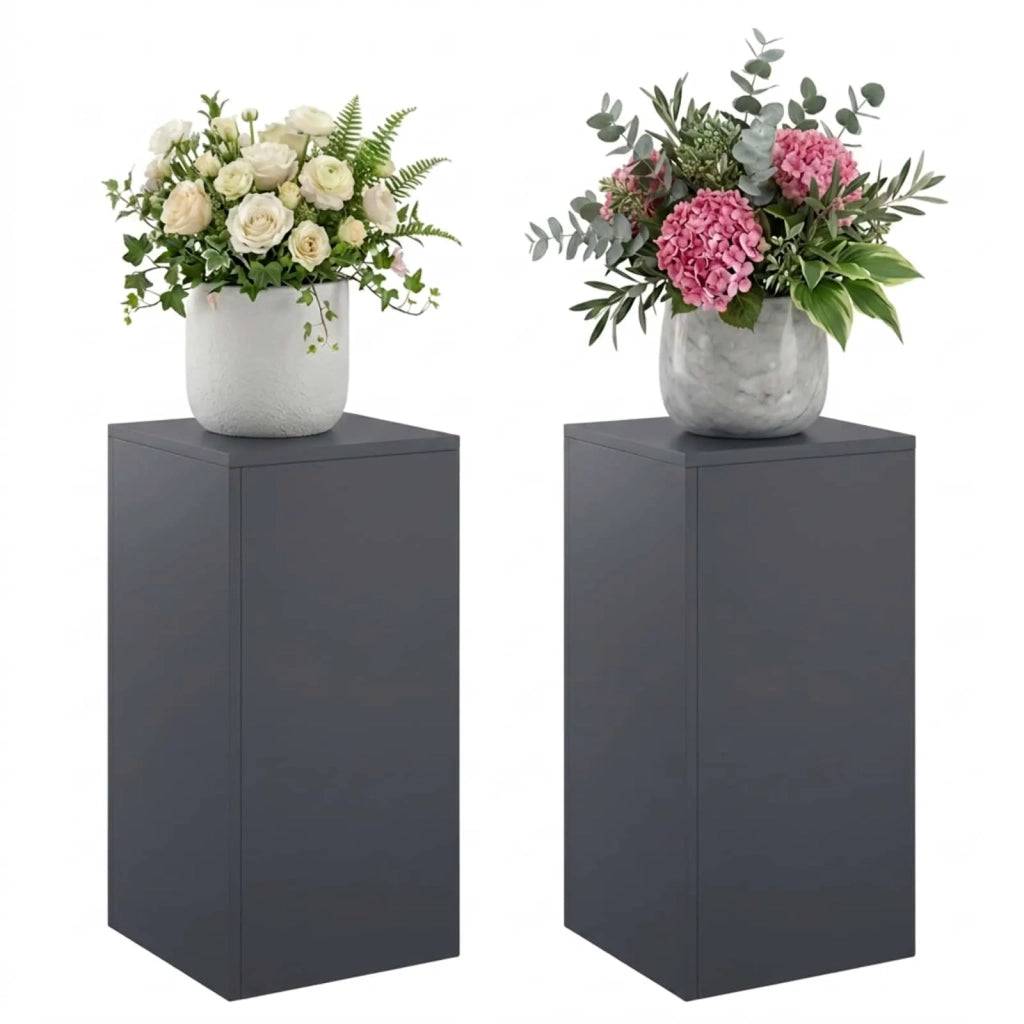 Supporto per piante 2 pcs Antracite 30 x 30 x 60 cm 8012479