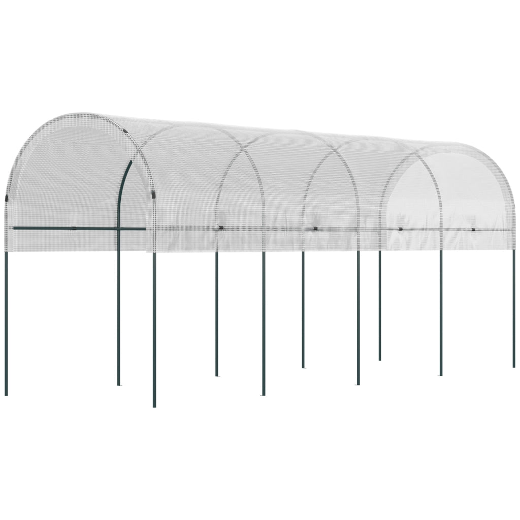 Serra da giardino per pomodori ¨C zephmum ¨C 4x1.2x1.7m 5 archi in acciaio con telo PE