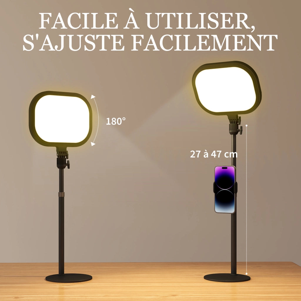 Lampada da scrivania LED regolabile ¨C zephmum ¨C 5 colori 10 livelli USB timer supporto telefono nero