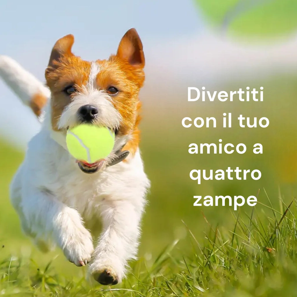 Set 3 palle da tennis gialle padel gioco per animali allenamento racchetta 06488