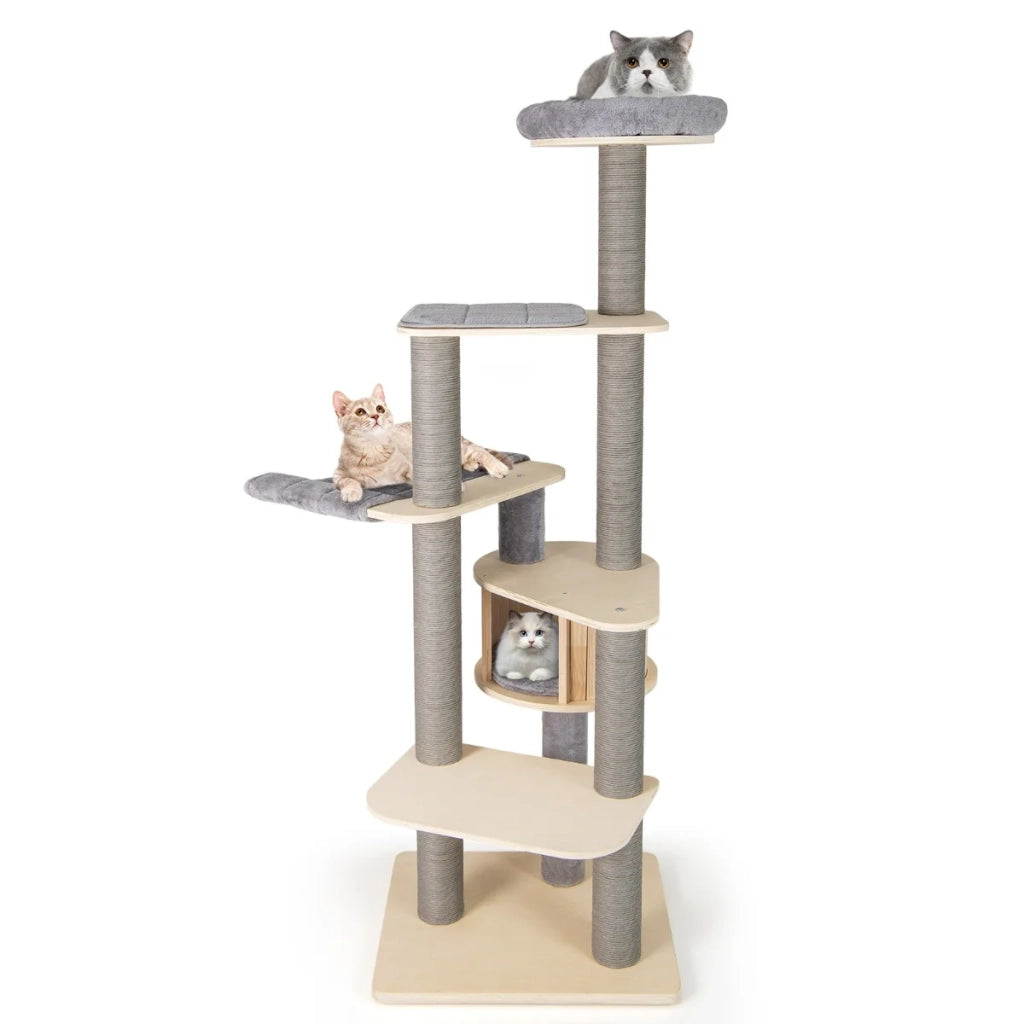 Set di tiragraffi da 1 a 5 livelli 197 x 68 x 58 cm comoda area di riposo e graffiatura design scandinavo in legno grigio 20_0018897