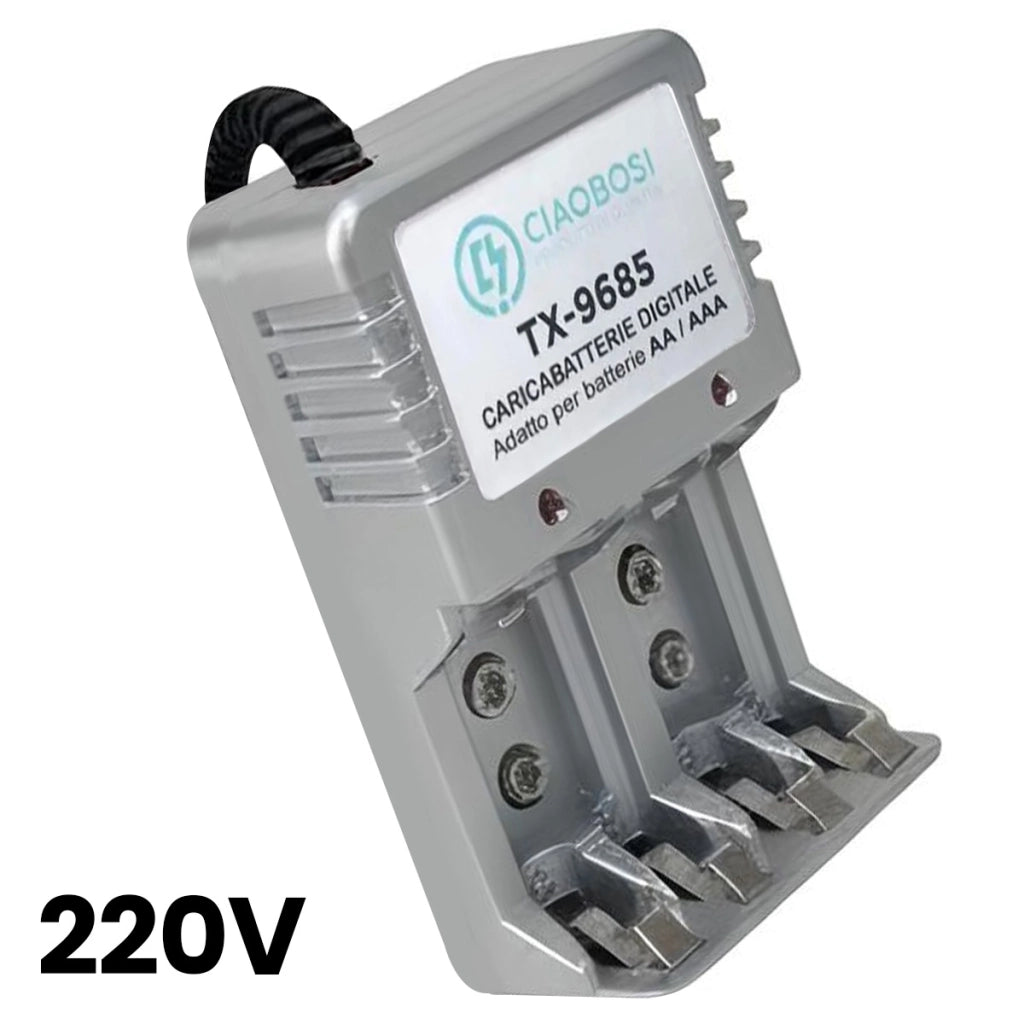 Caricabatterie digitale AA e AAA a 4 canali Presa 220V AC 150mA Grigio Avizar