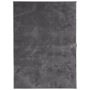 Tappeto del soggiorno | Tappeto Pelo Corto HUARTE Morbido Lavabile Antracite 120x170 cm