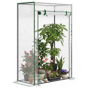 Serra da giardino con porta a rullo e struttura in acciaio ¨C zephmum ¨C 100x50x150 cm trasparente