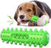 Giocattolo interattivo per cani - Cinghia da mordere auto-pulente - Giocattolo da bagno galleggiante - Verde