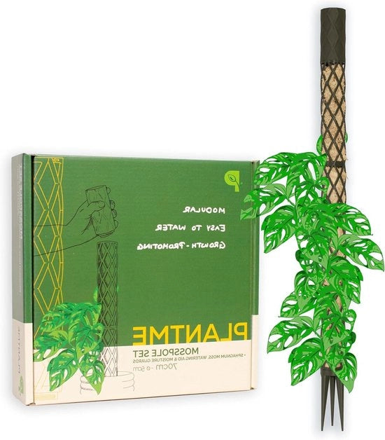 Set di sostegno per piante rampicanti - aiuto per la scalata (verde-grigio 70 cm)