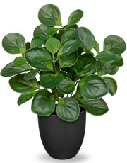Pianta artificiale 37 cm in vaso, pianta di camera artificiale, peperomia artificiale con foglie di menta decorativa per il tavolo, bonsai, pianta artificiale con vasi, decorazione da tavolo, casa, balcone, decorazione da ufficio