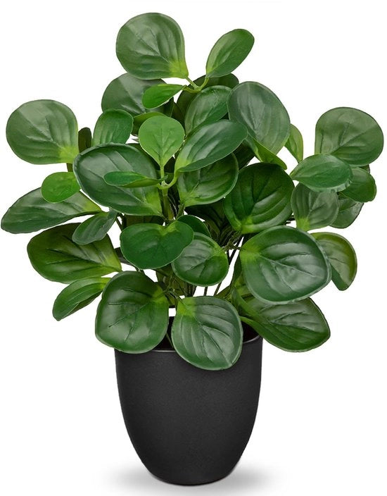 Pianta artificiale 37 cm in vaso, pianta di camera artificiale, peperomia artificiale con foglie di menta decorativa per il tavolo, bonsai, pianta artificiale con vasi, decorazione da tavolo, casa, balcone, decorazione da ufficio