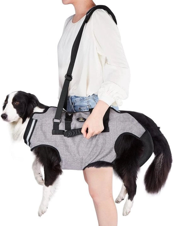 Harnas per cani grandi - Aiutadra - Cintura per cani - Harnas completo - Borsa per cani - Cinturino per cani - Materiali morbidi - Impermeabile - Regolabile - Grigio - XXL