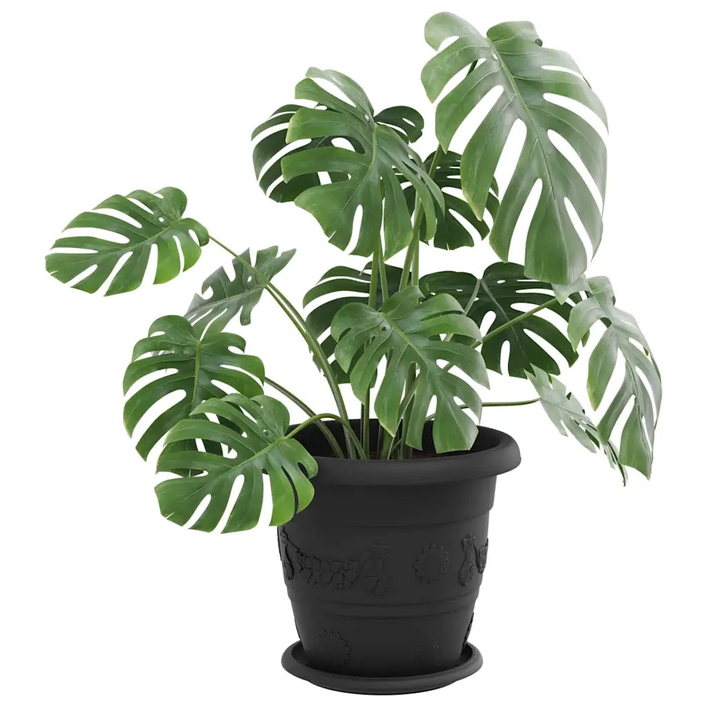 Vassoio Rotondo per Fiori 24 pz Nero ? 19 x 2 cm Plastica CFW3235808