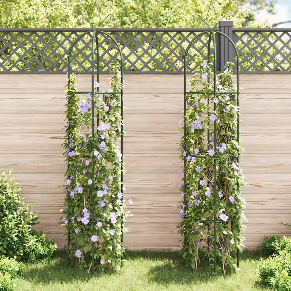 Set Torri ad Arco 2 pz per Piante Rampicanti da Giardino CFW2461839