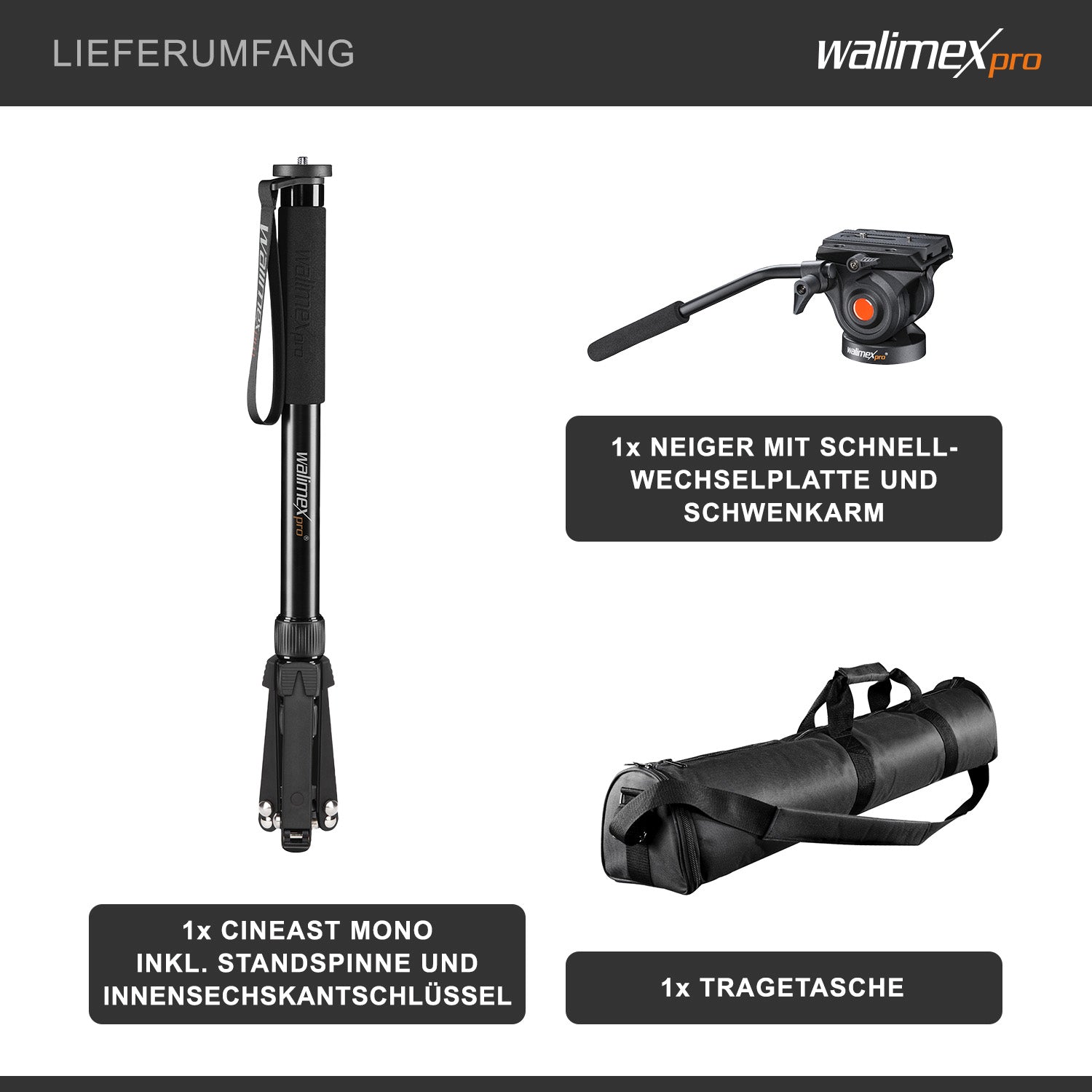 Monopiede video Cineast Mono