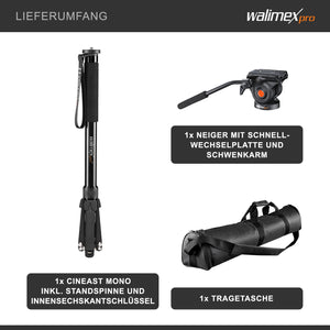 Monopiede video Cineast Mono