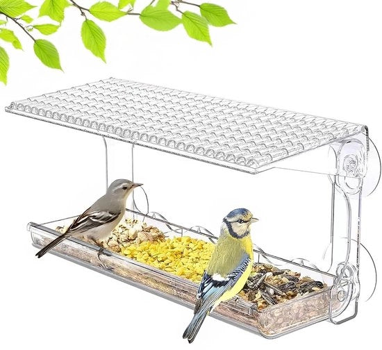 Casa per Uccelli - Finestra - Grande Bacino di Cibo trasparente 24,5x10x14cm con Vasca per Uccelli, Bacino di Cibo rimovibile con 2 Cavi & Stelo antiscivolo, Viti per fissaggio, per piccoli uccelli selvatici
