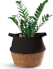 Pianta Decorativa in Cesto di Juncus e Cotone Sostenibile - 27 cm - Con Maniglie - Nero