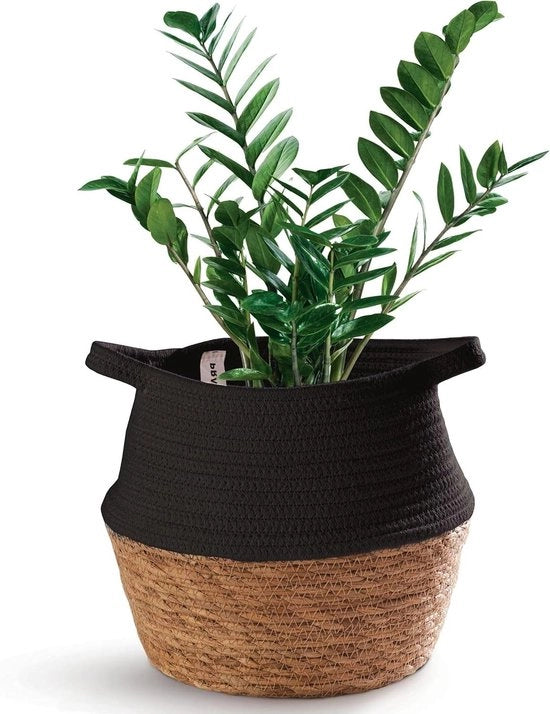 Pianta Decorativa in Cesto di Juncus e Cotone Sostenibile - 27 cm - Con Maniglie - Nero