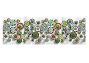 Tappeto Passatoia Cucina Antiscivolo Antisfilo Linea Futura Cactus By Suardi - 52x320 - Cactus