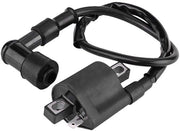 Bobina di Ricambio - 150CC 200CC 250CC - affidabile e duraturo - compatibilità universale - Quad Dirt Bike Scooter - Adatto per...