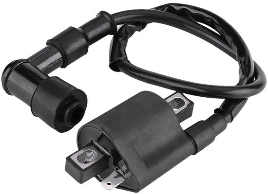 Bobina di Ricambio - 150CC 200CC 250CC - affidabile e duraturo - compatibilità universale - Quad Dirt Bike Scooter - Adatto per...