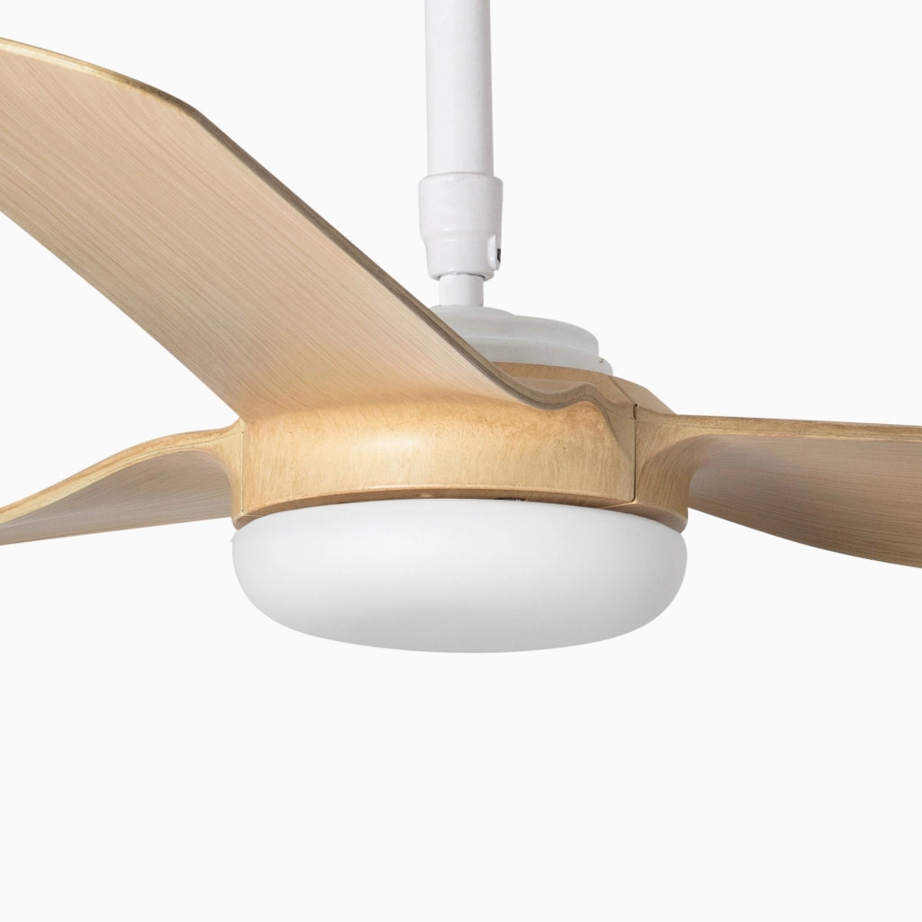 PUNT, Ventilatore senza Luce, Faro Barcelona